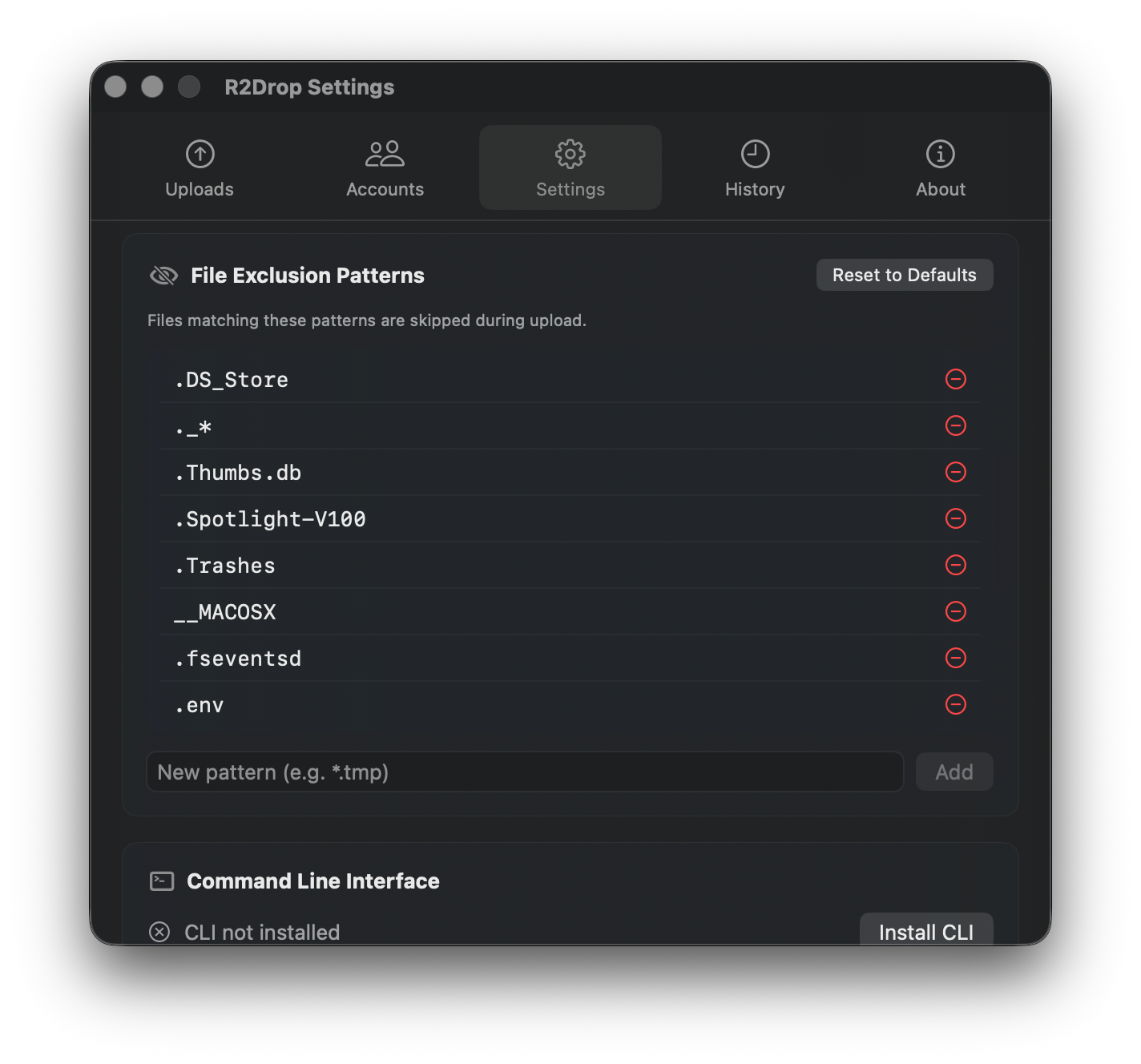 Settings tab showing file exclusion pattern list with .DS_Store, .Thumbs.db, and other common exclusions